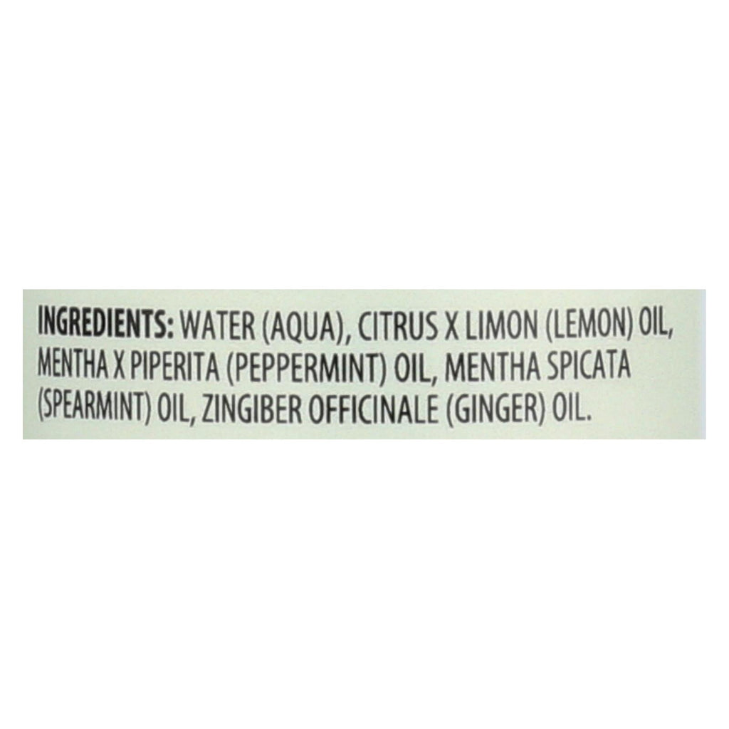 Aura Cacia - Aromatherapy Mist Ginger Mint - 4 Fl Oz - Lakehouse Foods