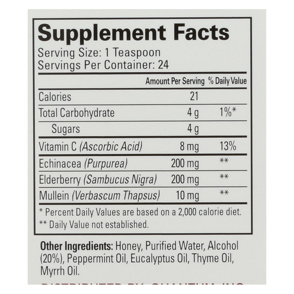 Quantum Elderberry Syrup - 4 Fl Oz - Lakehouse Foods