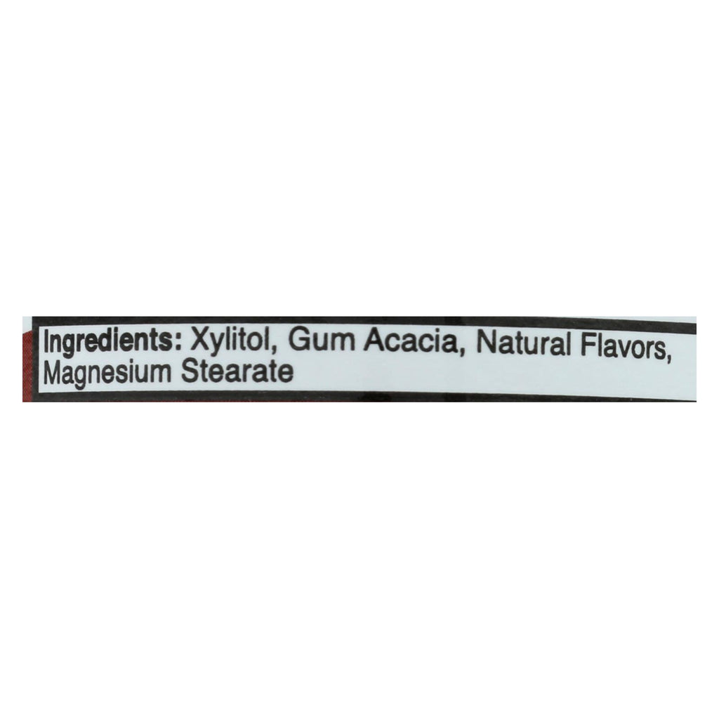 Epic Dental - Xylitol Mints - Cinnamon Xylitol Bottle - 180 Ct - Lakehouse Foods