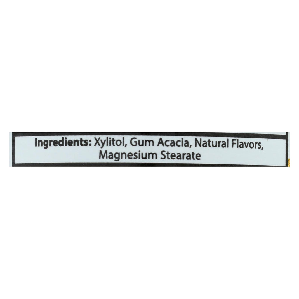 Epic Dental - Xylitol Mints - Fruit Xylitol Bottle - 180 Ct - Lakehouse Foods