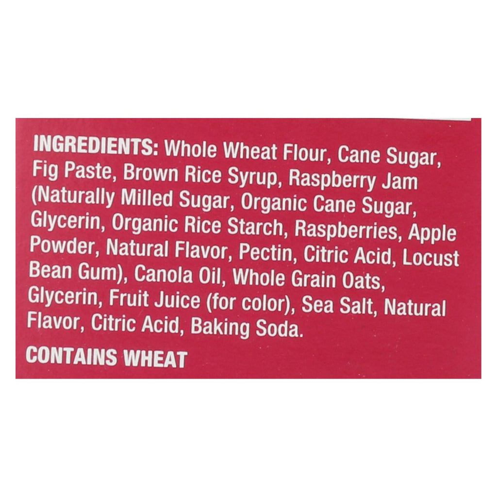 Nature's Bakery Stone Ground Whole Wheat Fig Bar - Raspberry - 2 Oz - Case Of 6 - Lakehouse Foods