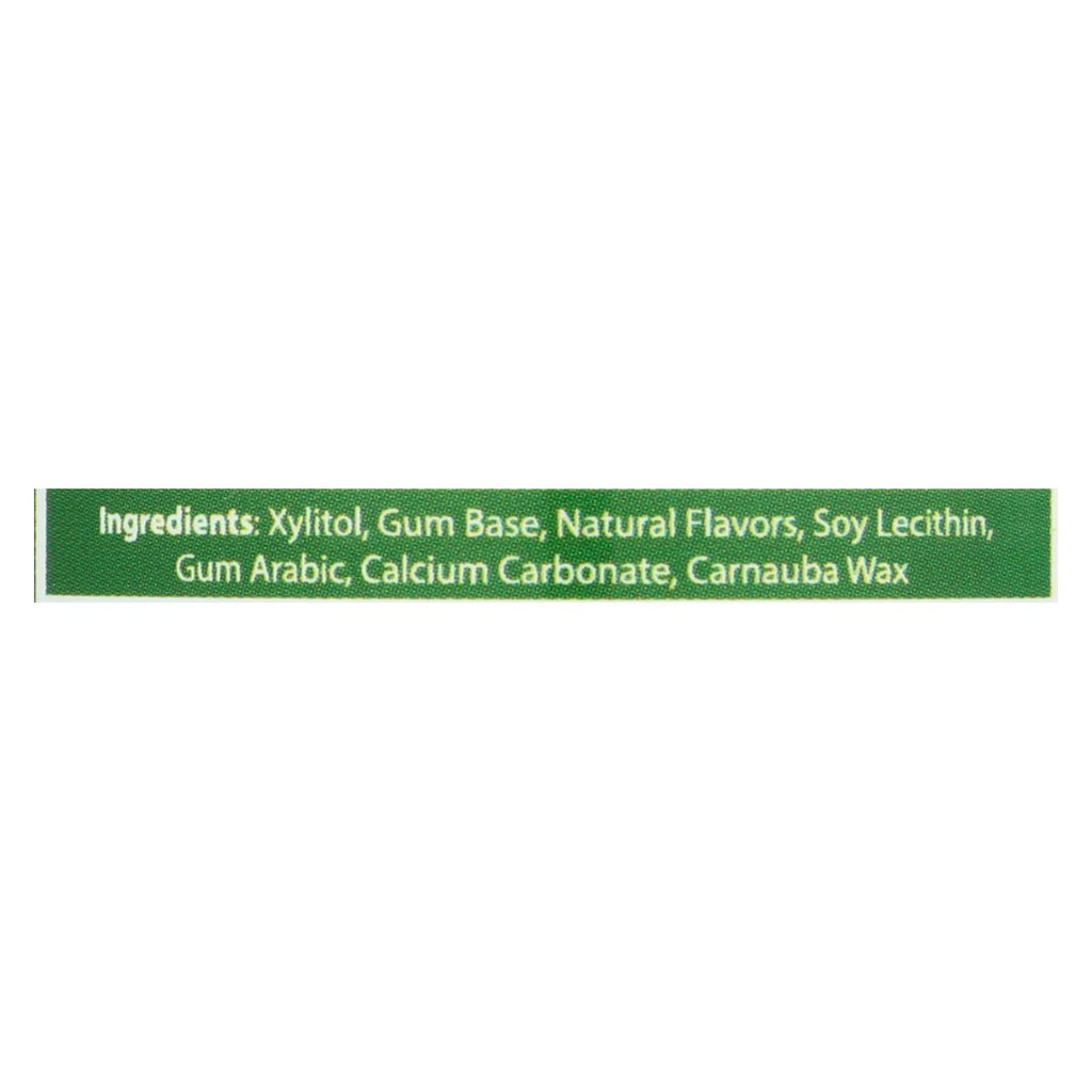 Epic Dental - Xylitol Gum - Spearmint - 50 Count - Lakehouse Foods