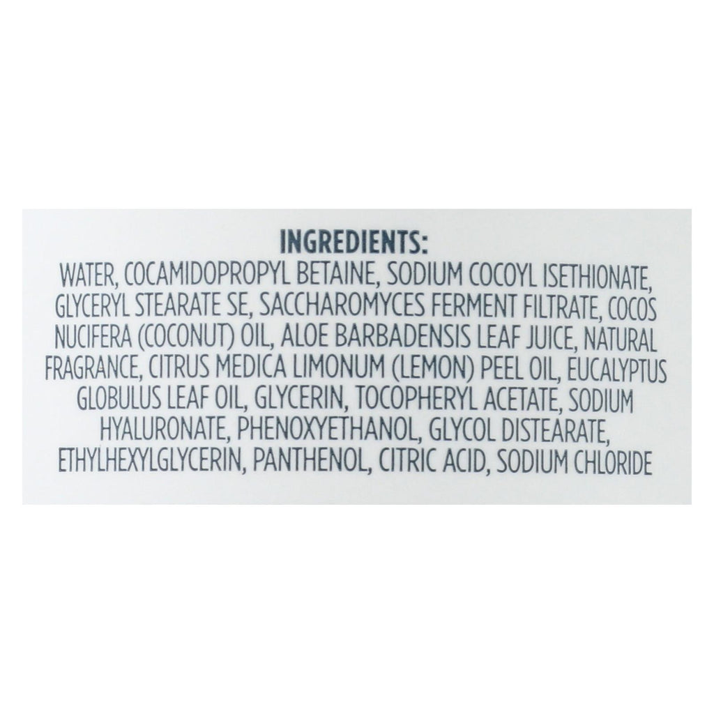Kirk's Natural - Hand Soap Lemon Eucalyptus - 12 Fz - Lakehouse Foods