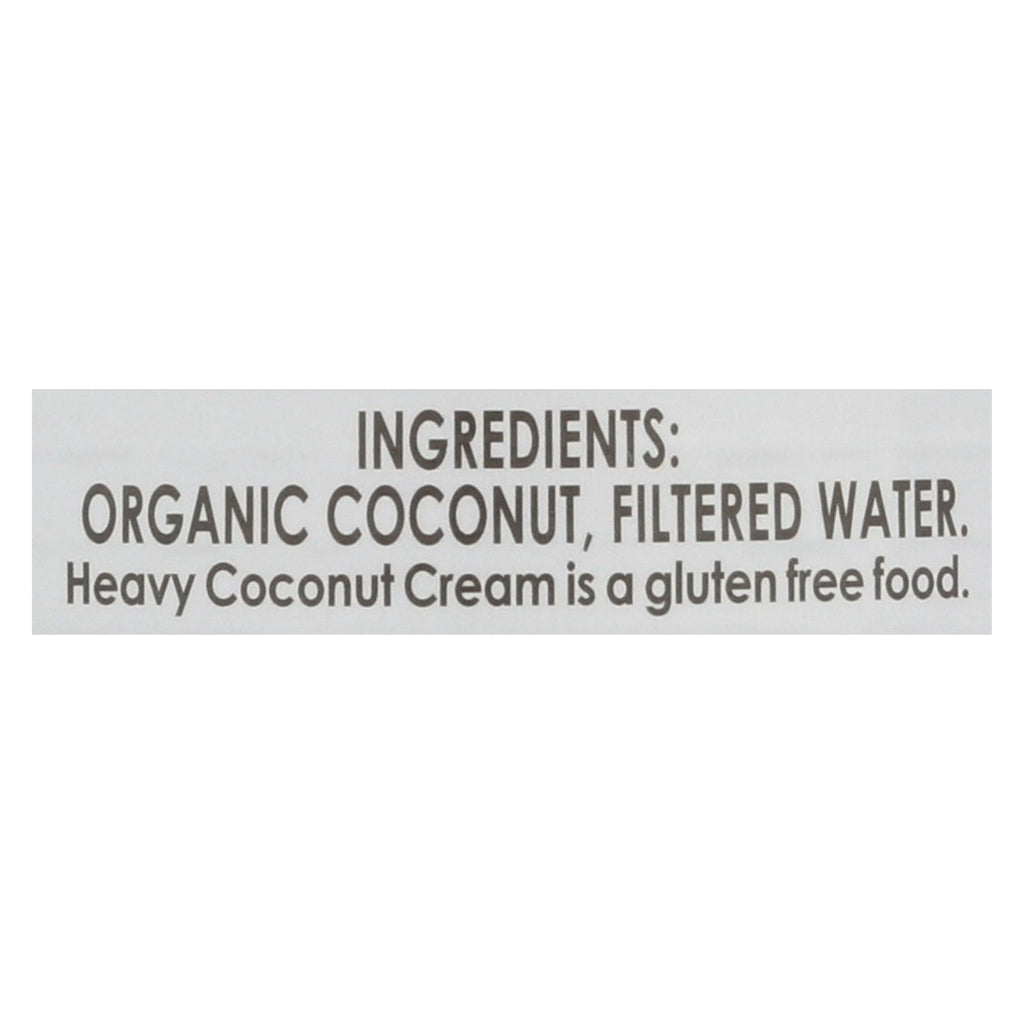 Let's Do Organic Coconut Cream - Organic - Heavy - Case Of 12 - 13.5 Fl Oz - Lakehouse Foods