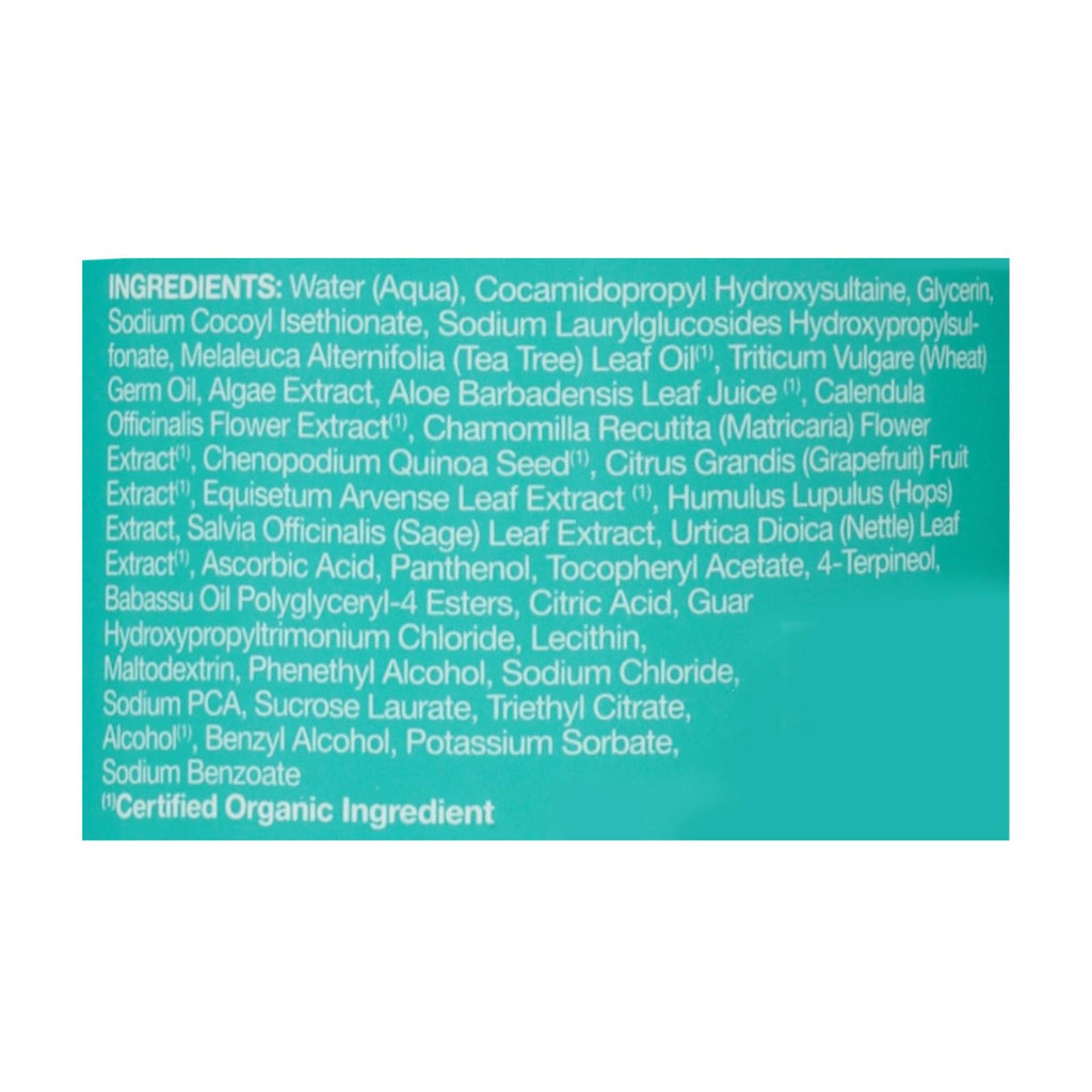 Jason Natural Products - Shampoo Tea Tree Purifying - 1 Each 1-12 Fz - Lakehouse Foods