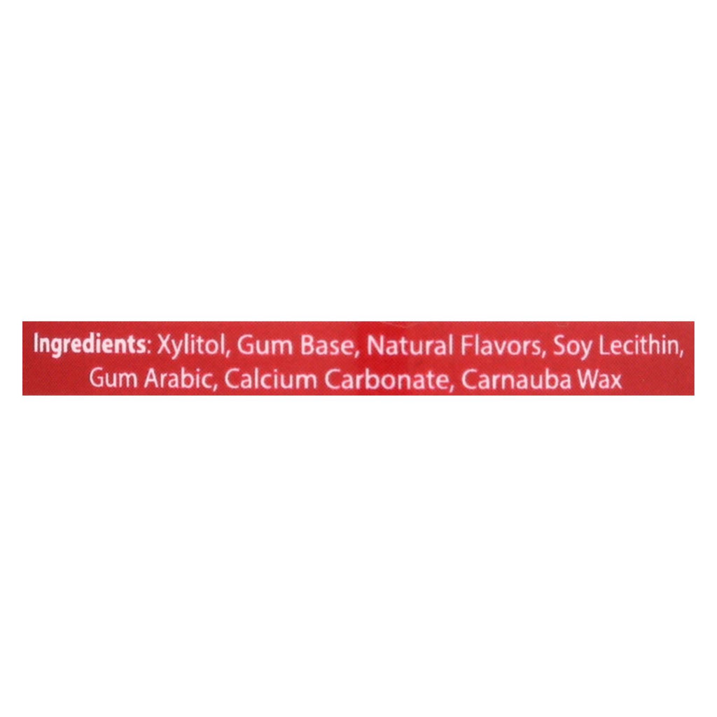 Epic Dental - Xylitol Gum - Cinnamon - 50 Count - Lakehouse Foods